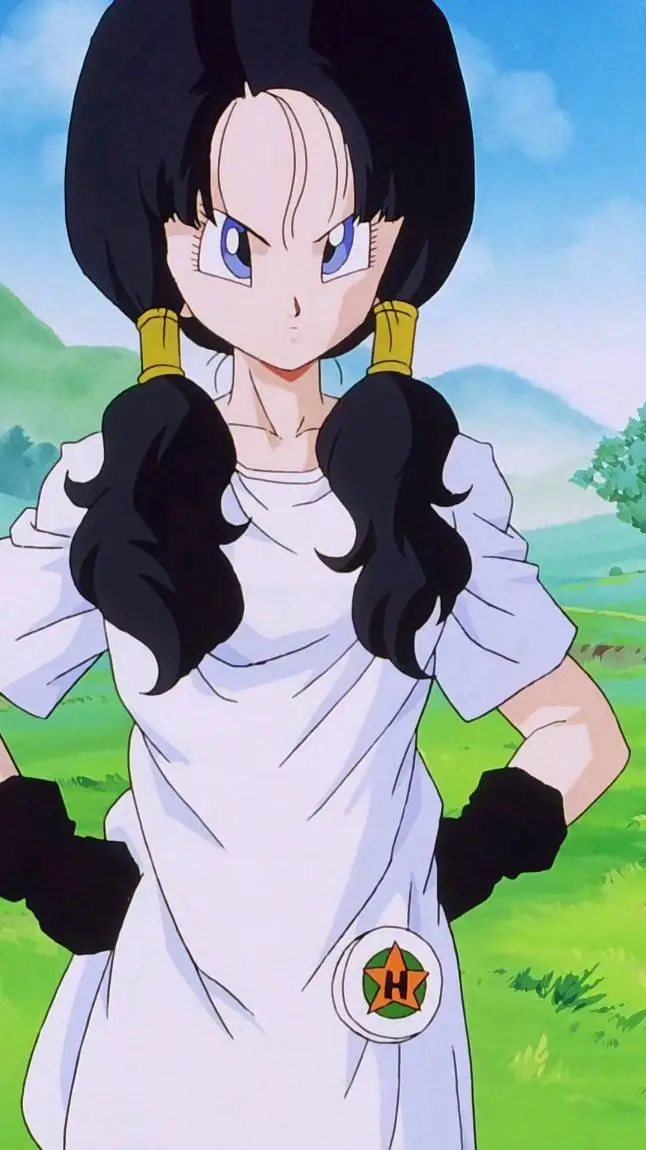 ai character: videl background