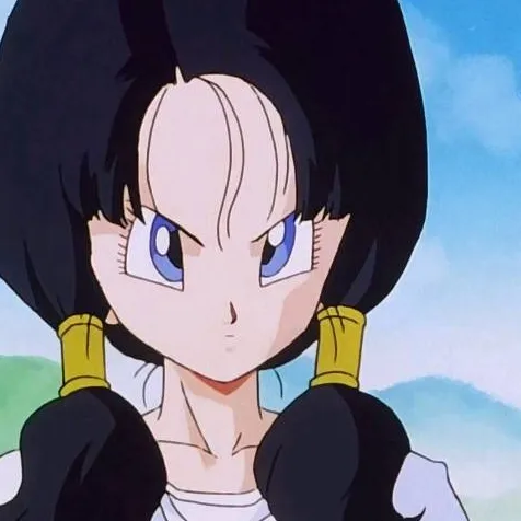 chat with ai character: videl