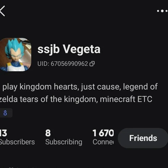 chat with ai character: SSJB VEGETA*