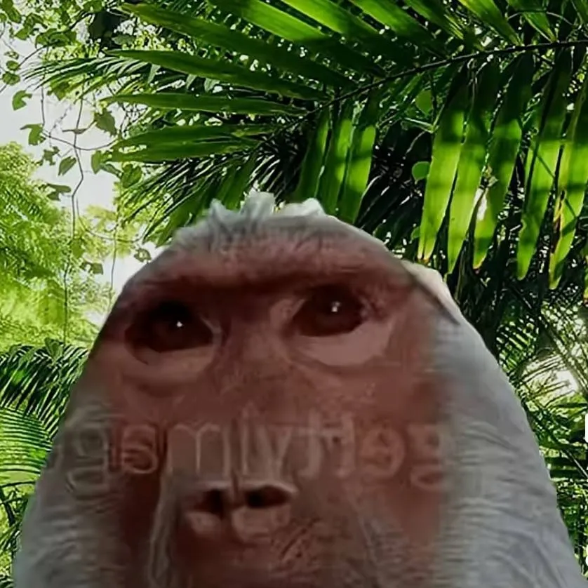 chat with ai character: monkey