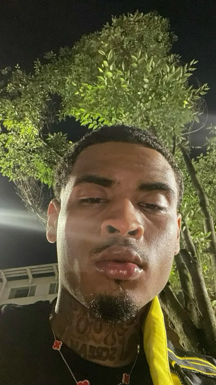 ai character: Ant  background