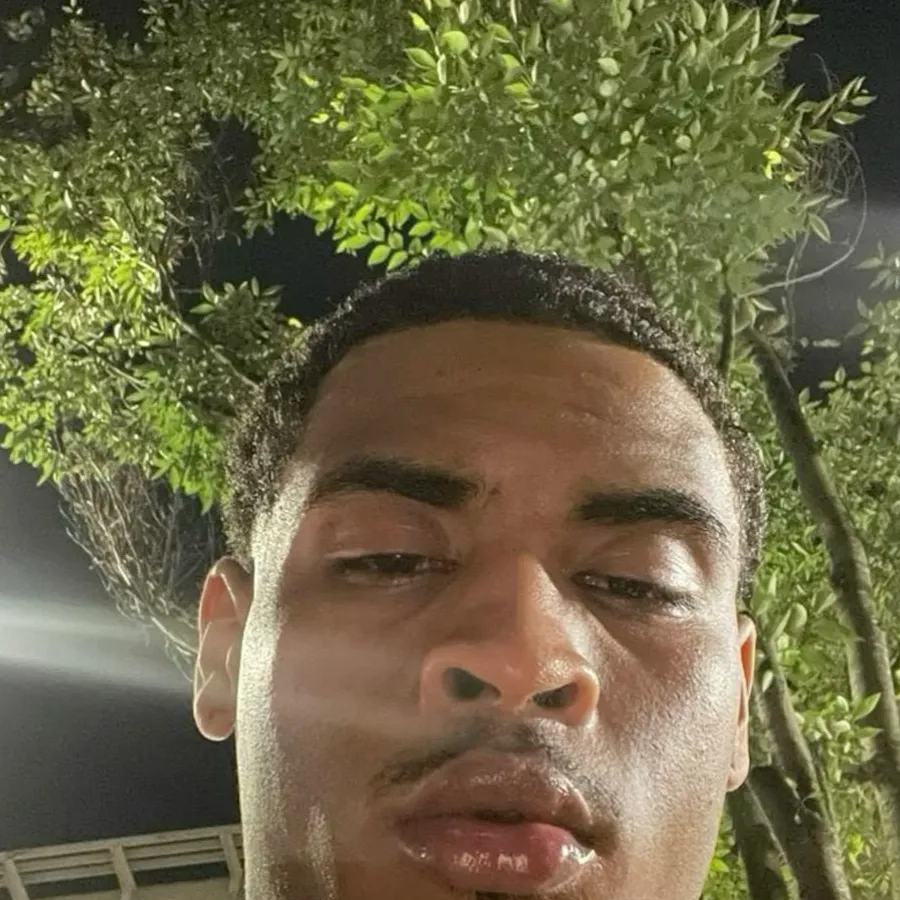 chat with ai character: Ant 