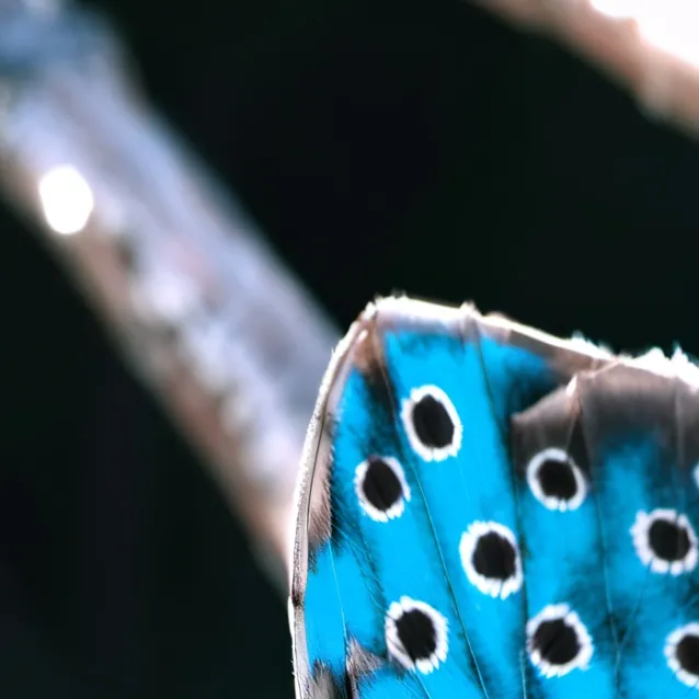 chat with ai character: Catherine 