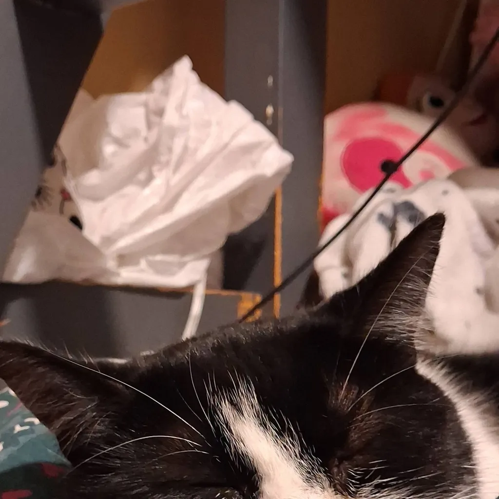 chat with ai character: hawks