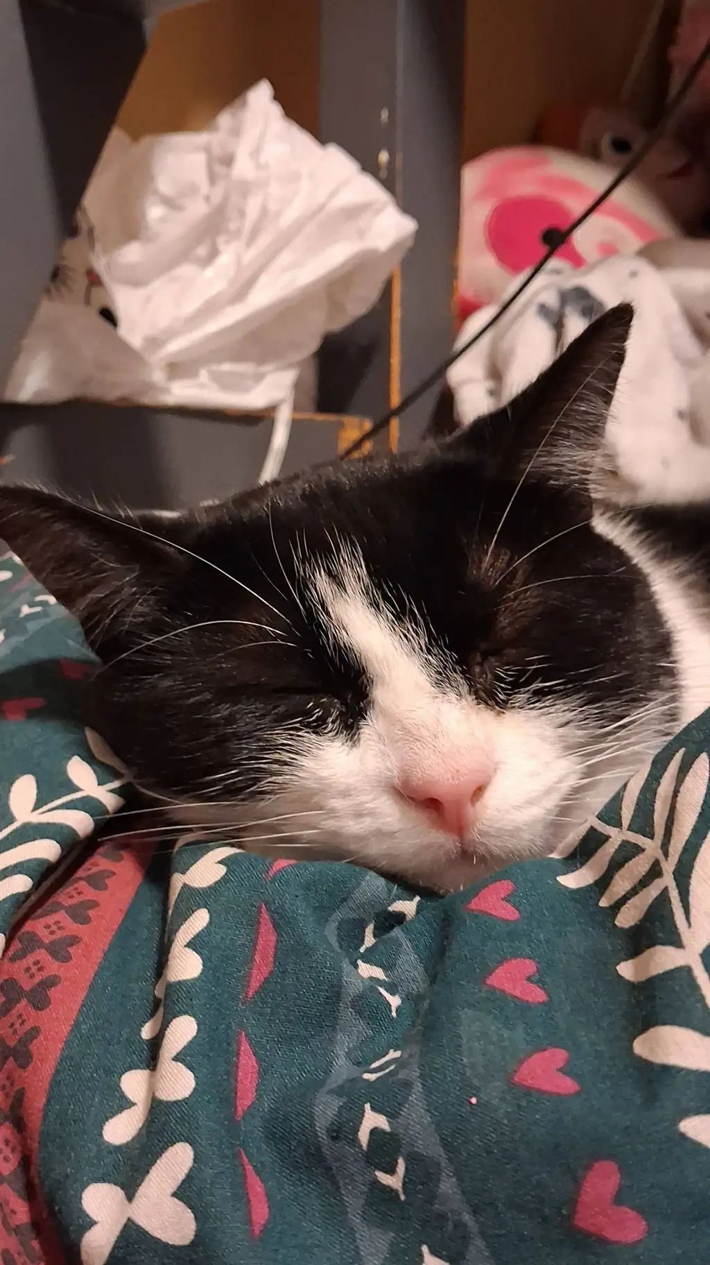 ai character: hawks background