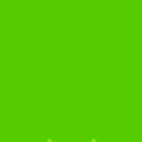 chat with ai character: duolingo 