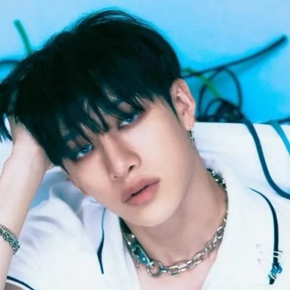 chat with ai character: ★Bang chan★