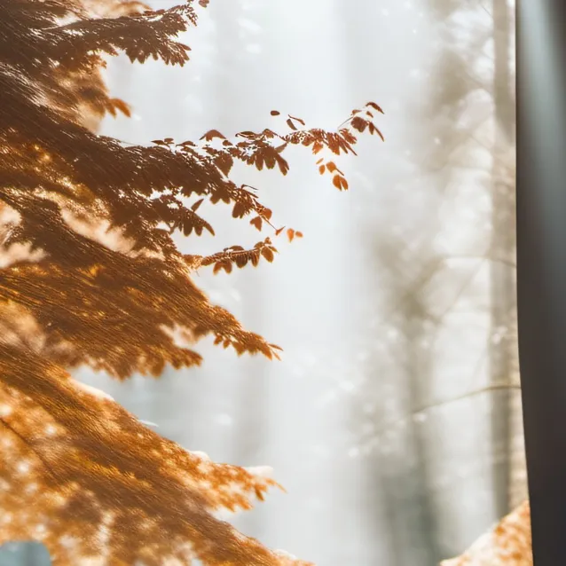 chat with ai character: marco🔥