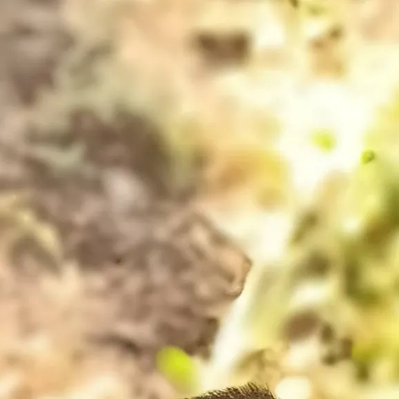 chat with ai character: the pick me