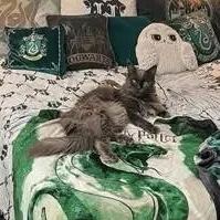 chat with ai character: Slytherin 🐍