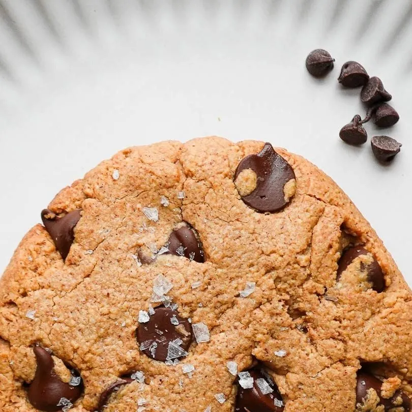 chat with ai character: cookie