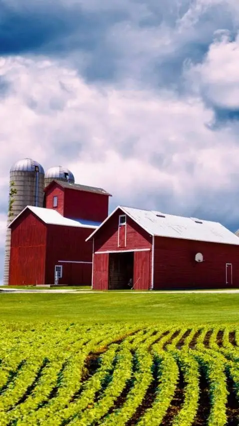 ai character: farm background