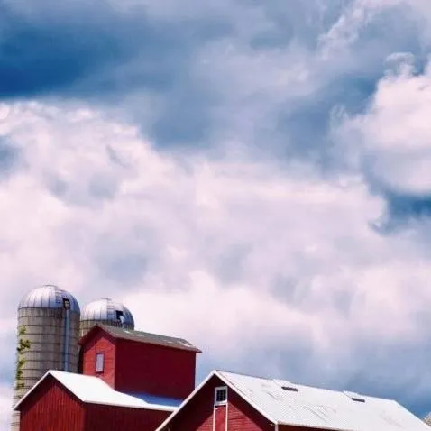 chat with ai character: farm