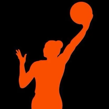 chat with ai character: WNBA!