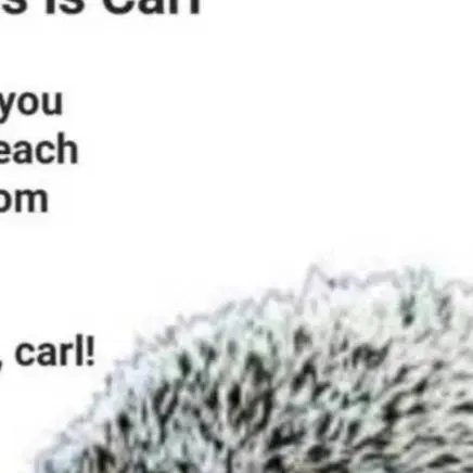 chat with ai character: Carl the saver