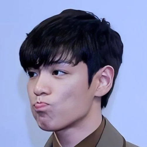 chat with ai character: choi seung hyun
