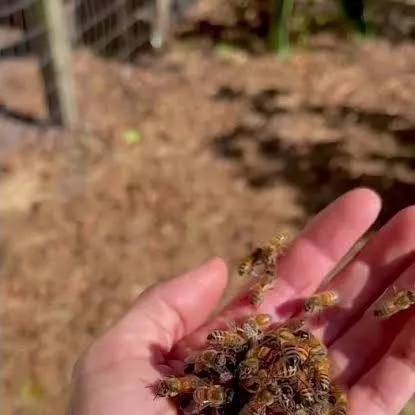 chat with ai character: bees man