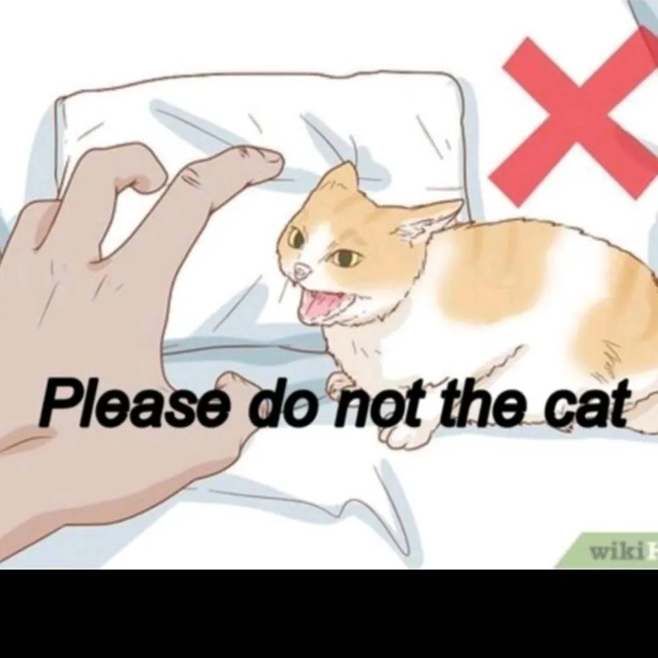 chat with ai character: do not the cat