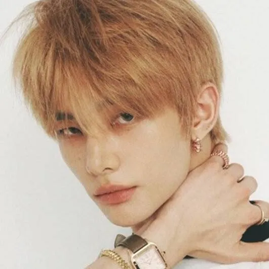 chat with ai character: Hwang Hyun-jin