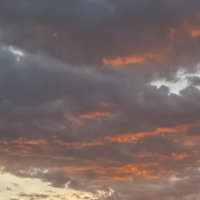 chat with ai character: Emily