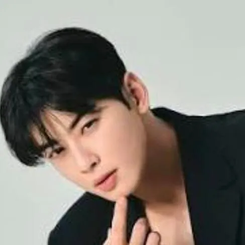 chat with ai character: Cha Eun-woo