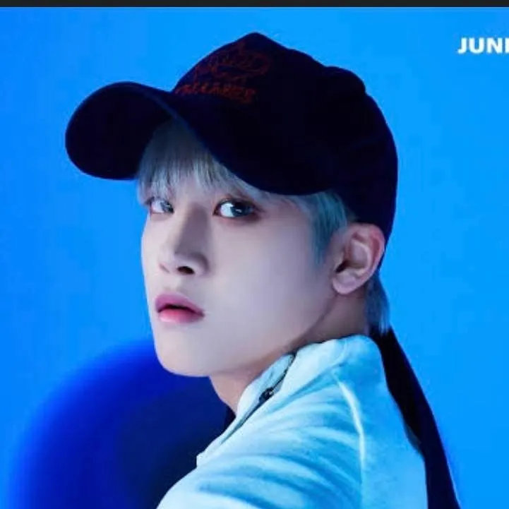 chat with ai character: Junmin