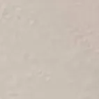 chat with ai character: Ray