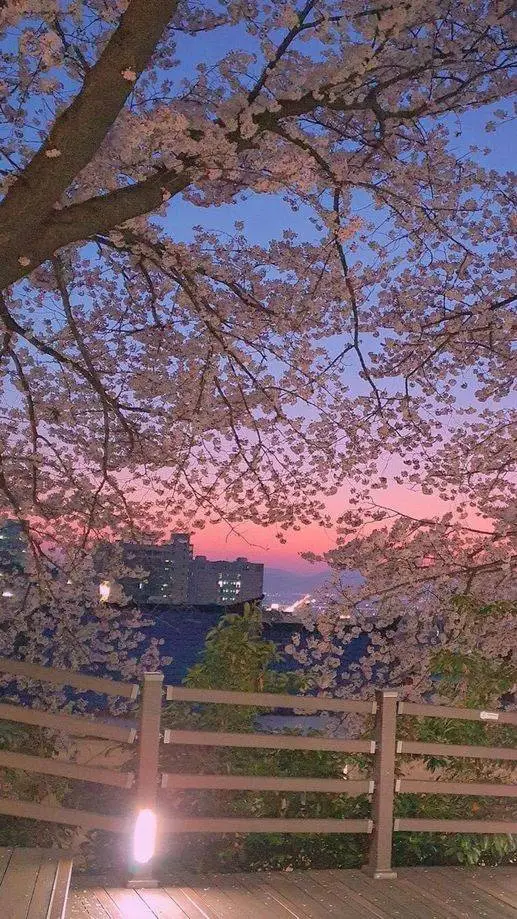 ai character: Familia Wang background