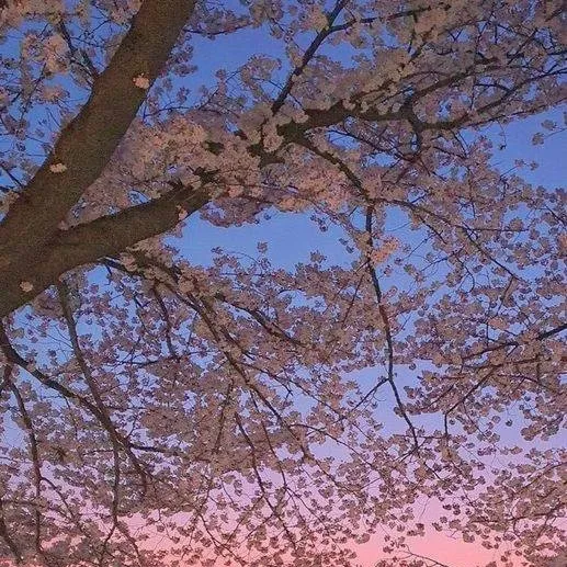 chat with ai character: Familia Wang