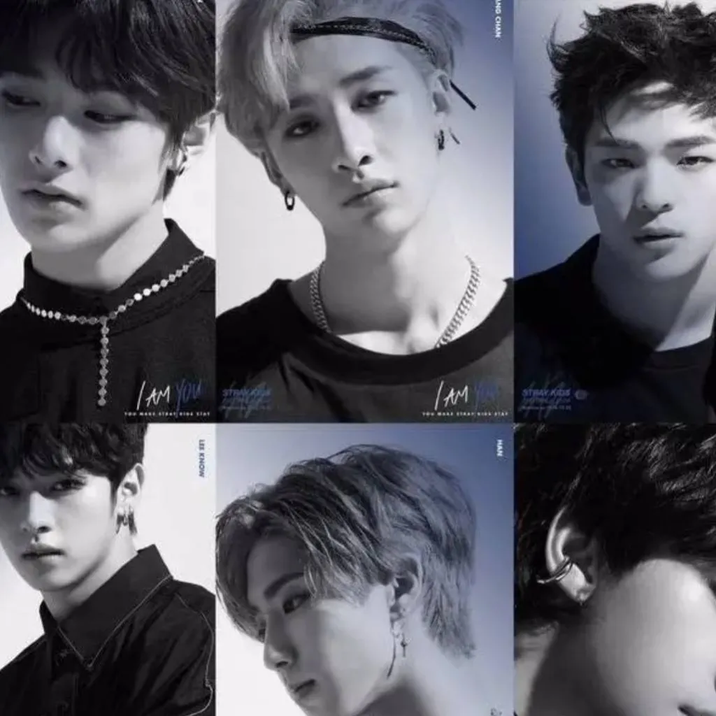 chat with ai character: straykidafterdebut