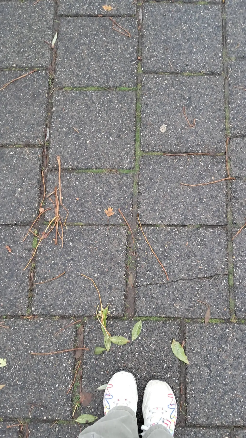 ai character: HGT! 🌸 background