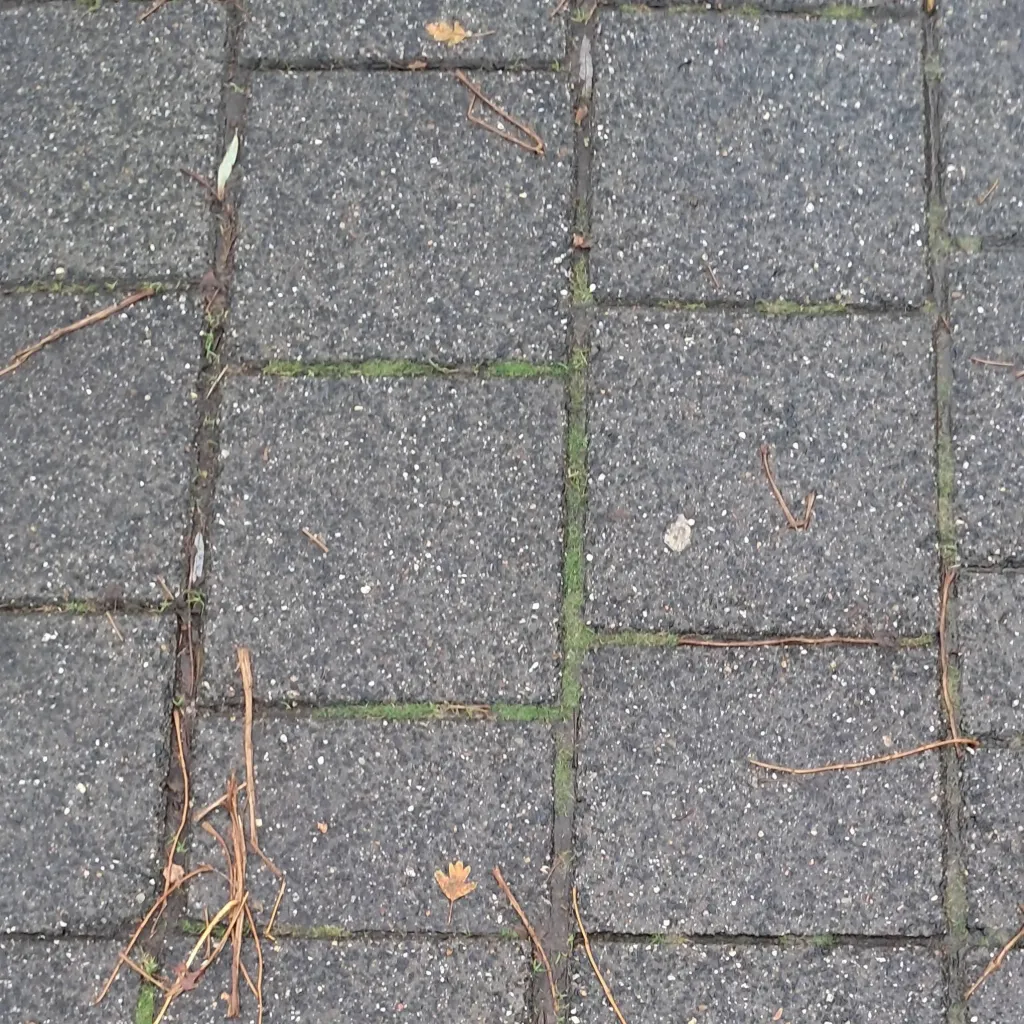 chat with ai character: HGT! 🌸