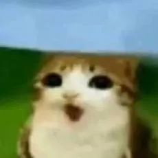 chat with ai character: Meowl