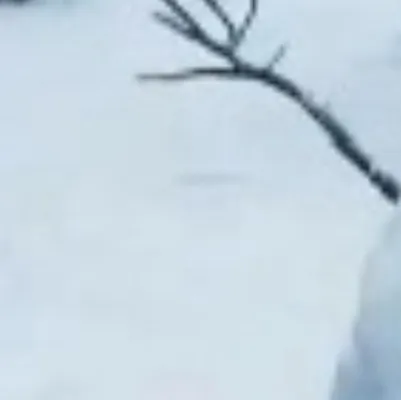 chat with ai character: Yeti-boo