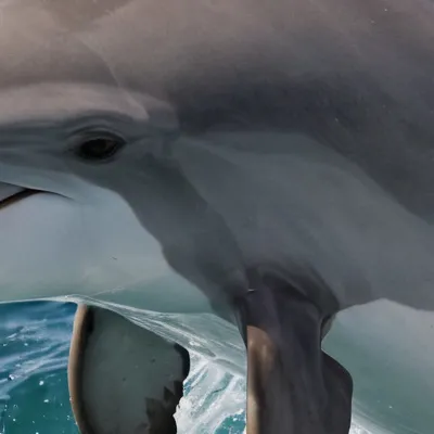 chat with ai character: Seraphina