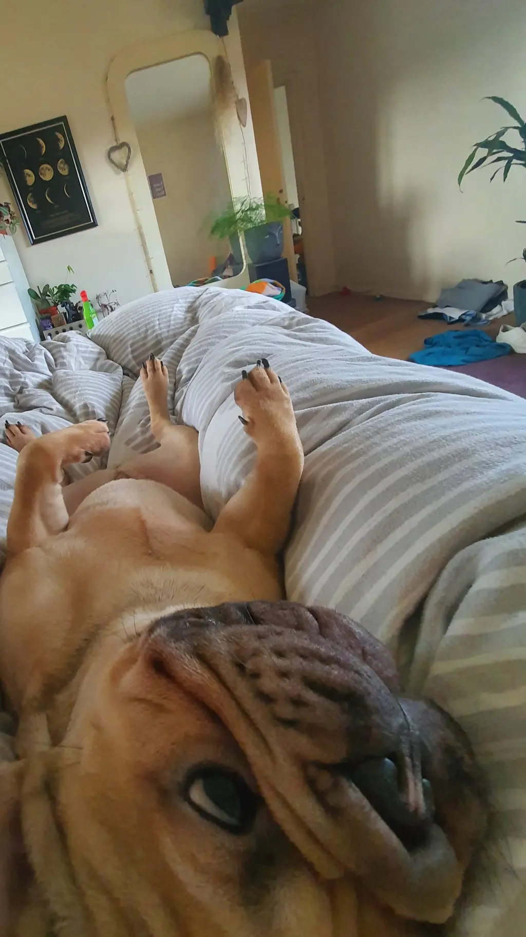 ai character: Loud Peank 2.0 background