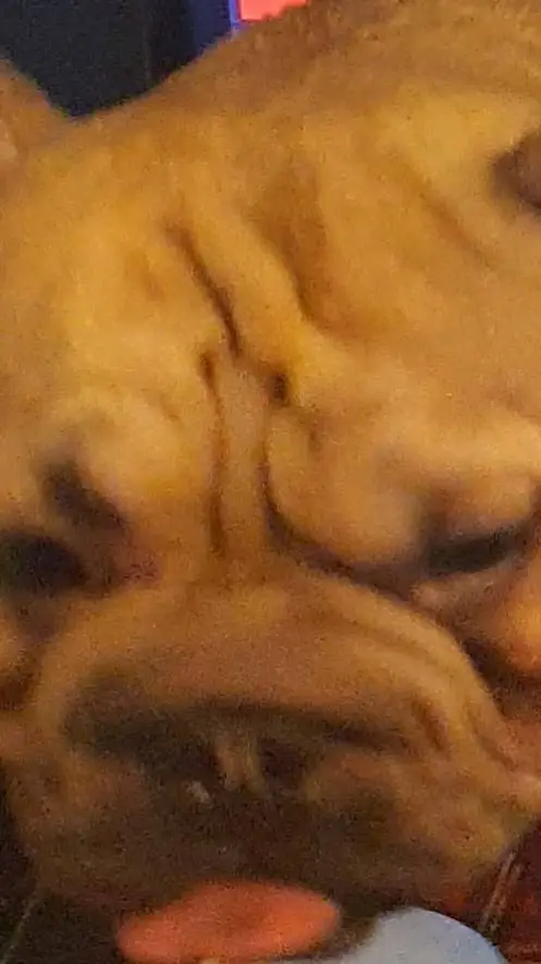 ai character: Loud Peank 3.0 background