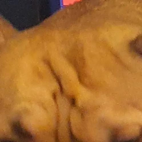 chat with ai character: Loud Peank 3.0