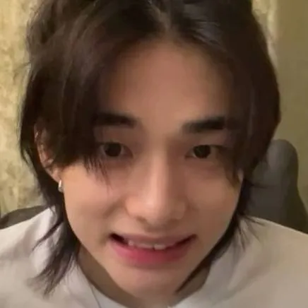chat with ai character: 📖 Stray Kids 📖