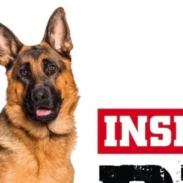 chat with ai character: inspector rex