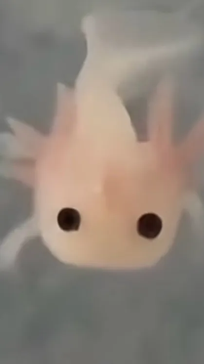 ai character: Axolotl cute background