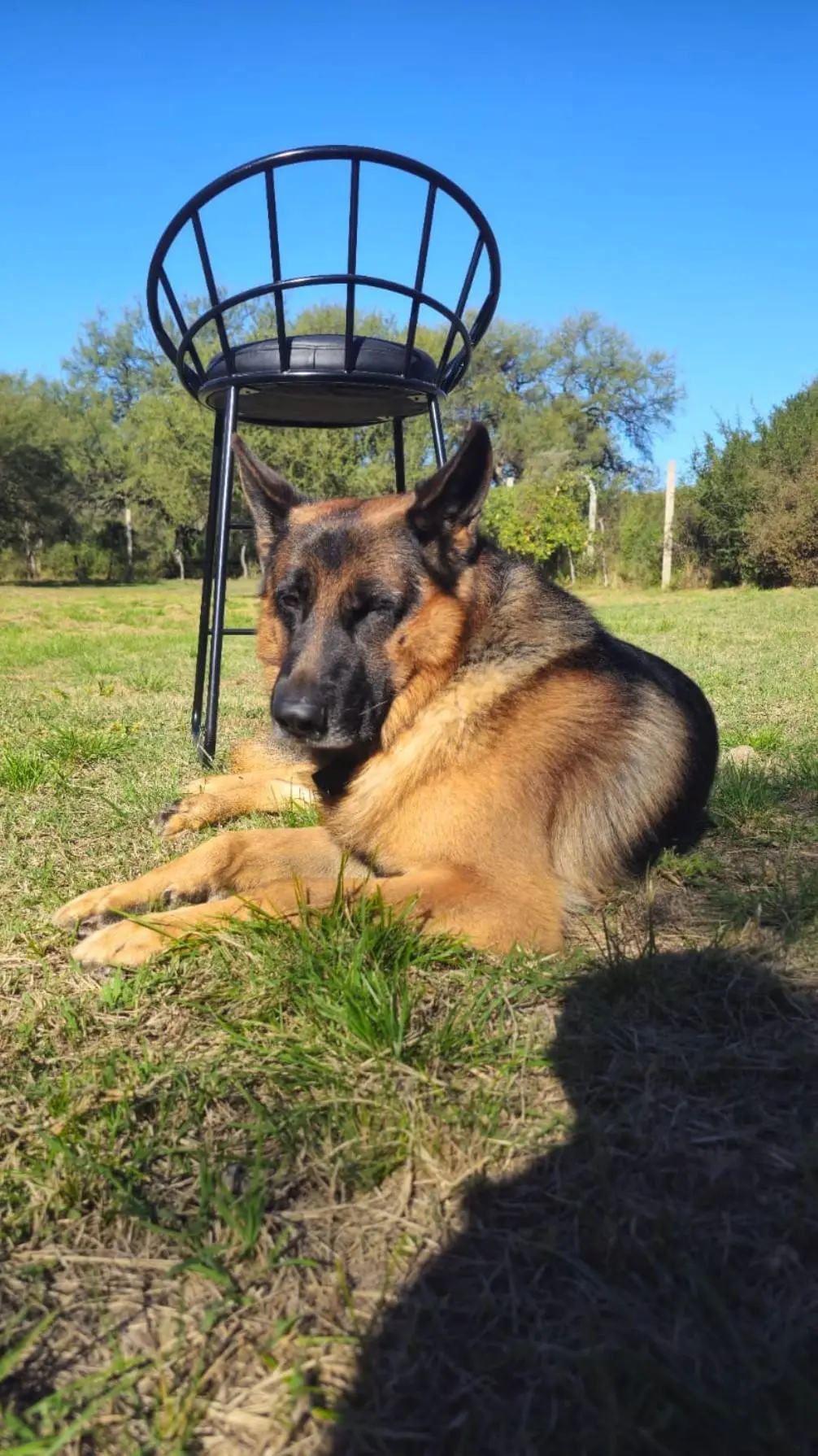 ai character: I dont know background