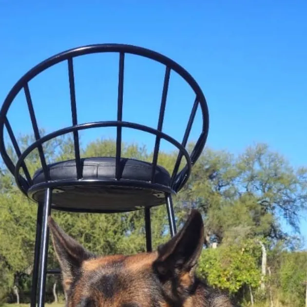 chat with ai character: I dont know