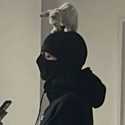 chat with ai character: Maxie