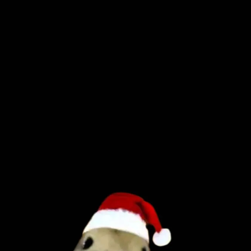 chat with ai character: Solstice