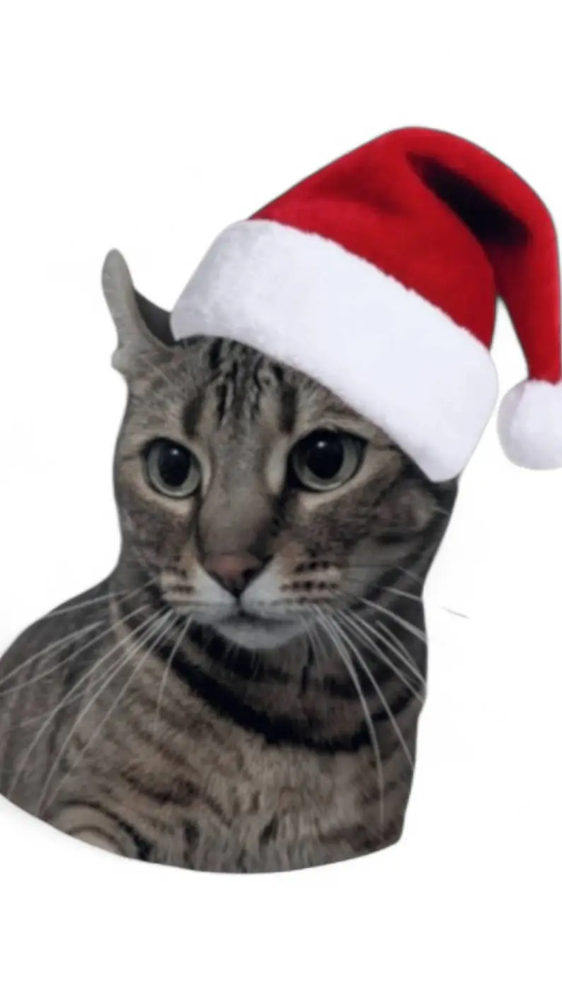 ai character: Misticc background