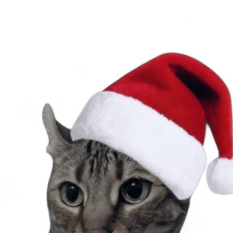 chat with ai character: Misticc