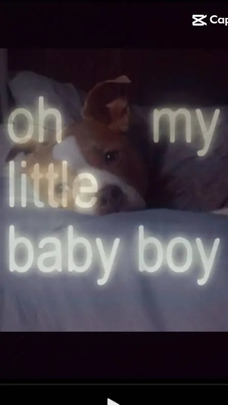 ai character: julie background