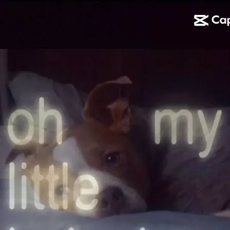 chat with ai character: julie