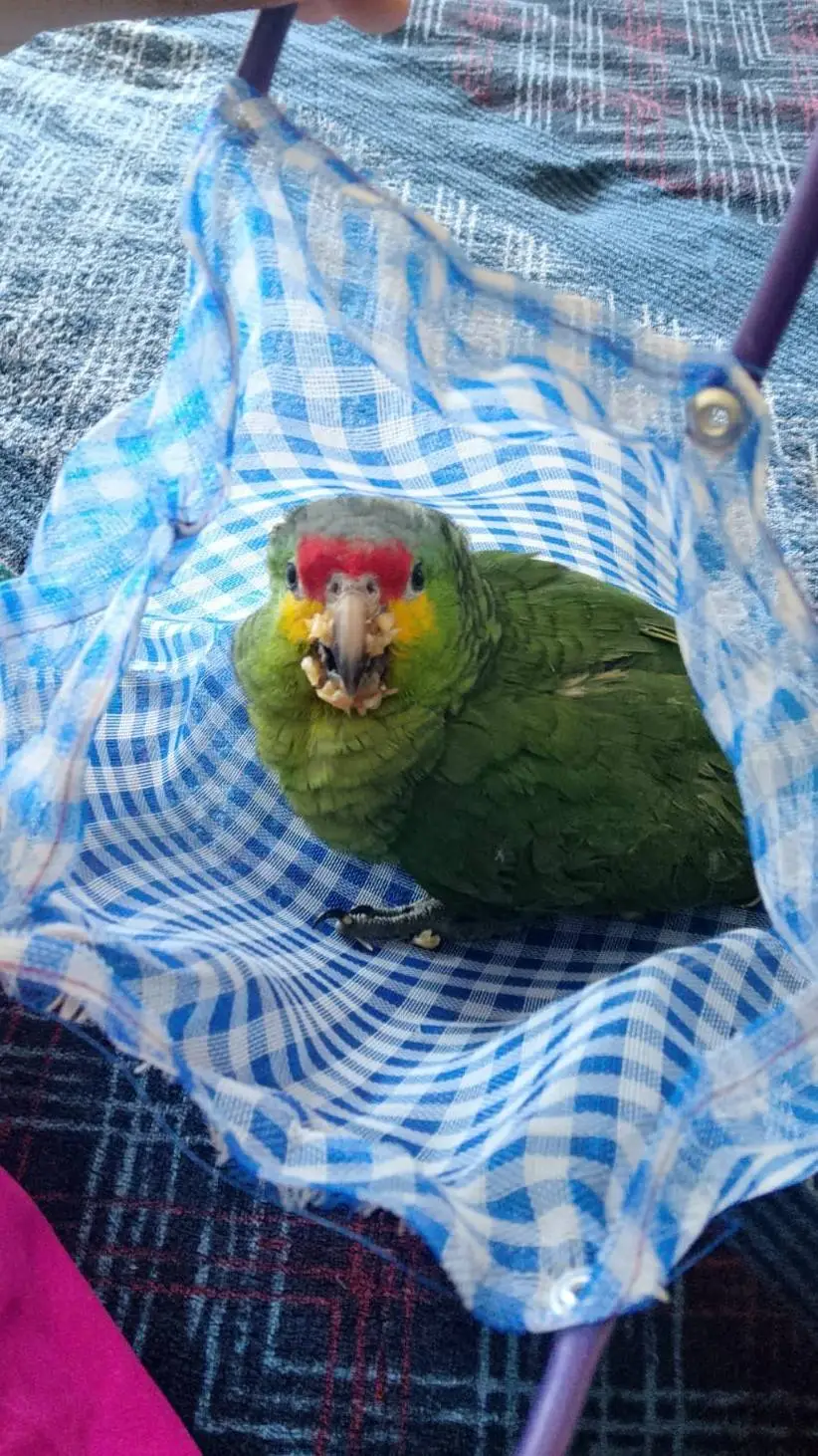 ai character: He revivido  background